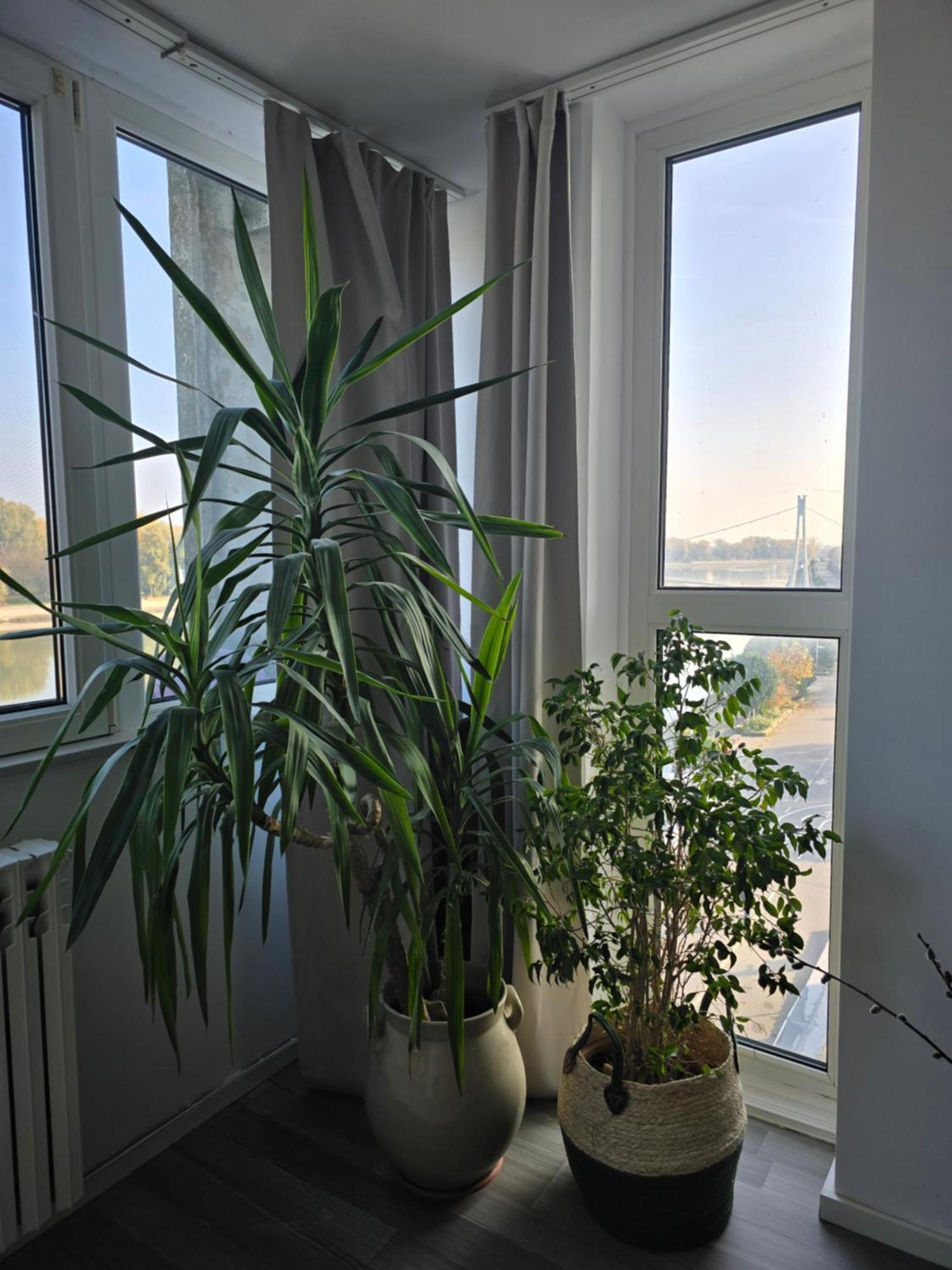 Riverview Apartment Osijek Ngoại thất bức ảnh